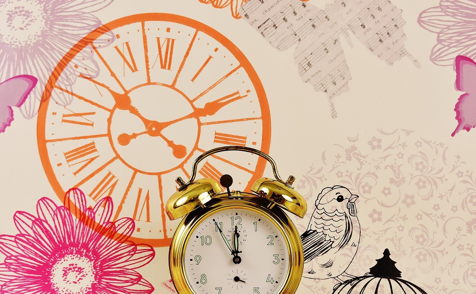 Le coaching vitaminé : Bloom up ! Le coaching vitaminé : Bloom up !